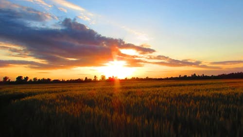 Scenic View Of Cropland During Sunset