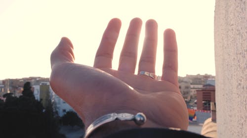 A Close up of a Hand in the Sunlight