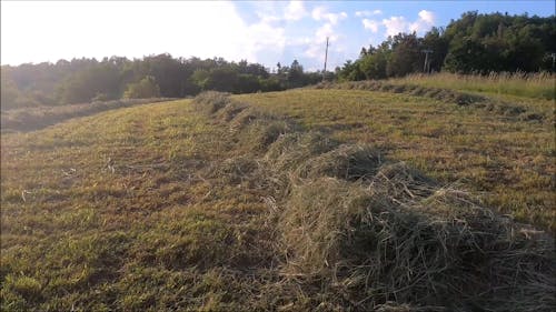 Farmland With Dried Grass