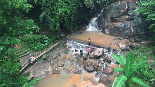 People Standing By A Waterfall In A Forest Park