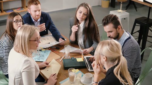 A Group Of People Having A Business Meeting