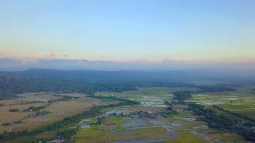 Green Landscapes