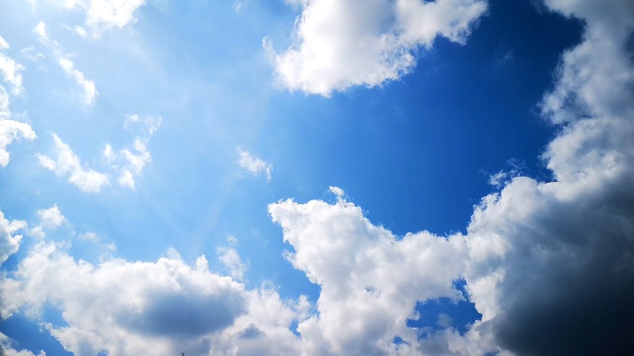 Video by George Morina