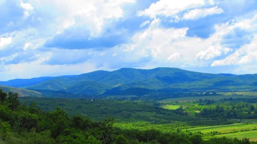 Beautiful Green Field