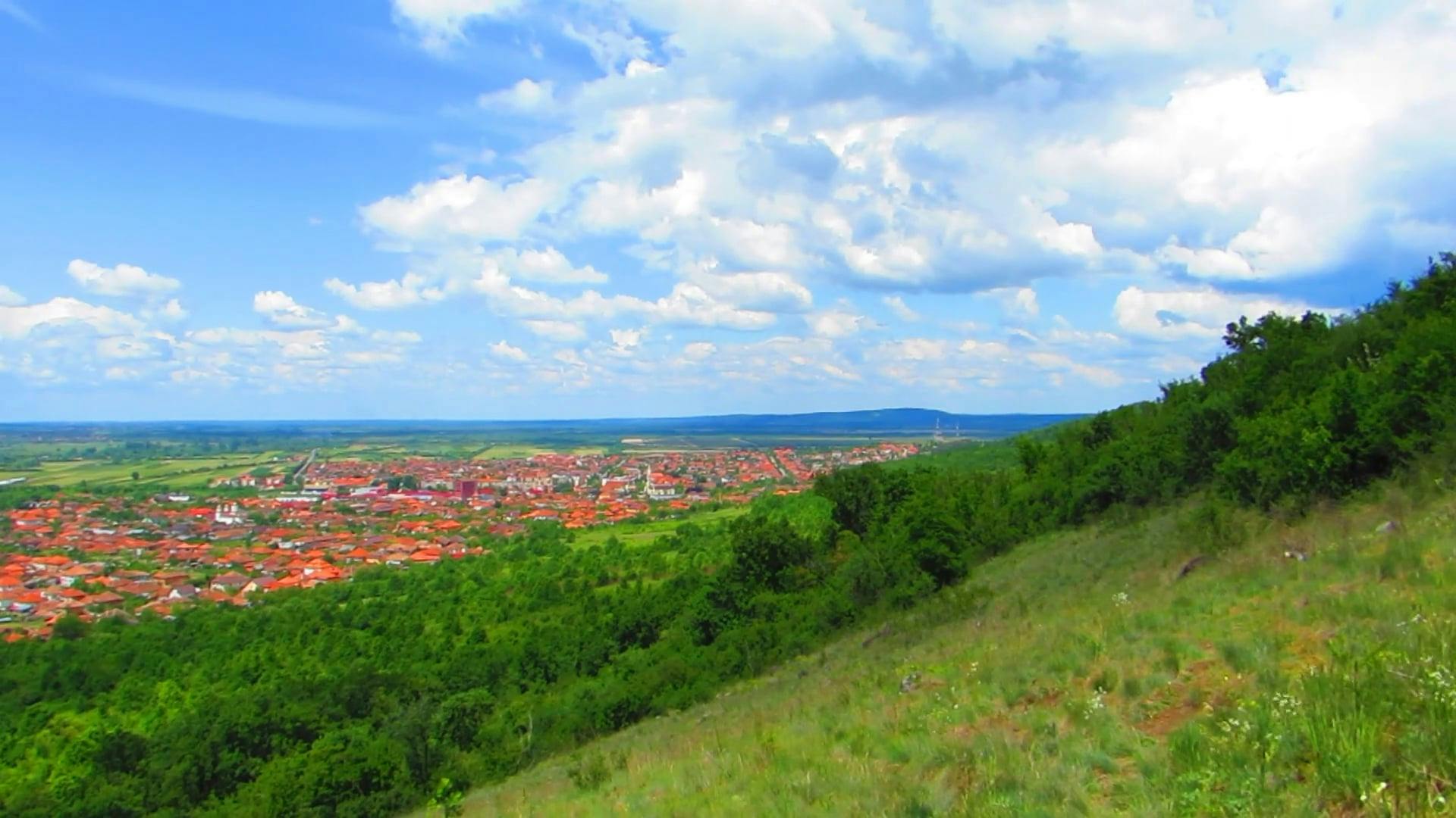 Video by Adrian  Hoparda