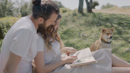 Couple Playing with Their Dog Free Stock Video Footage, Royalty-Free 4K & HD Video Clip Couple Playing with Their Dog Free Stock Video Footage, Royalty-Free 4K & HD Video Clip