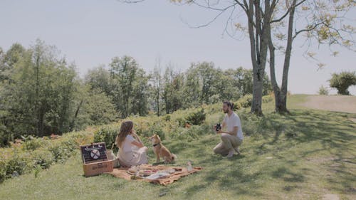 A Couple Having Picnic With Their Dog On A Hilltop