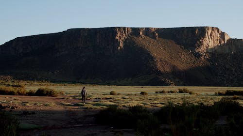 Man Walking on the Field