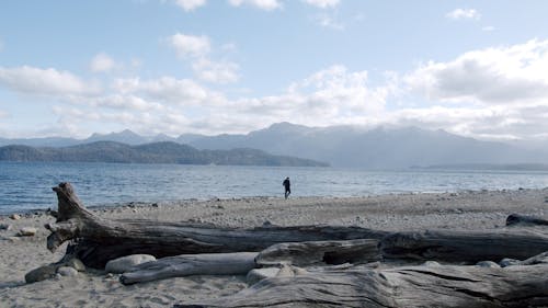 Man Standing On Seashore