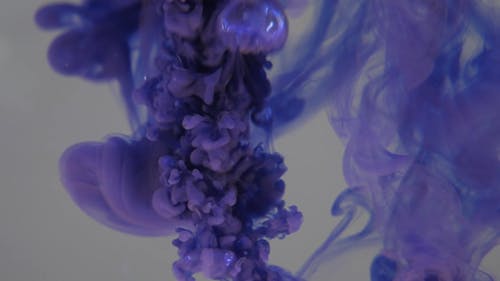 Purple Liquid Paint