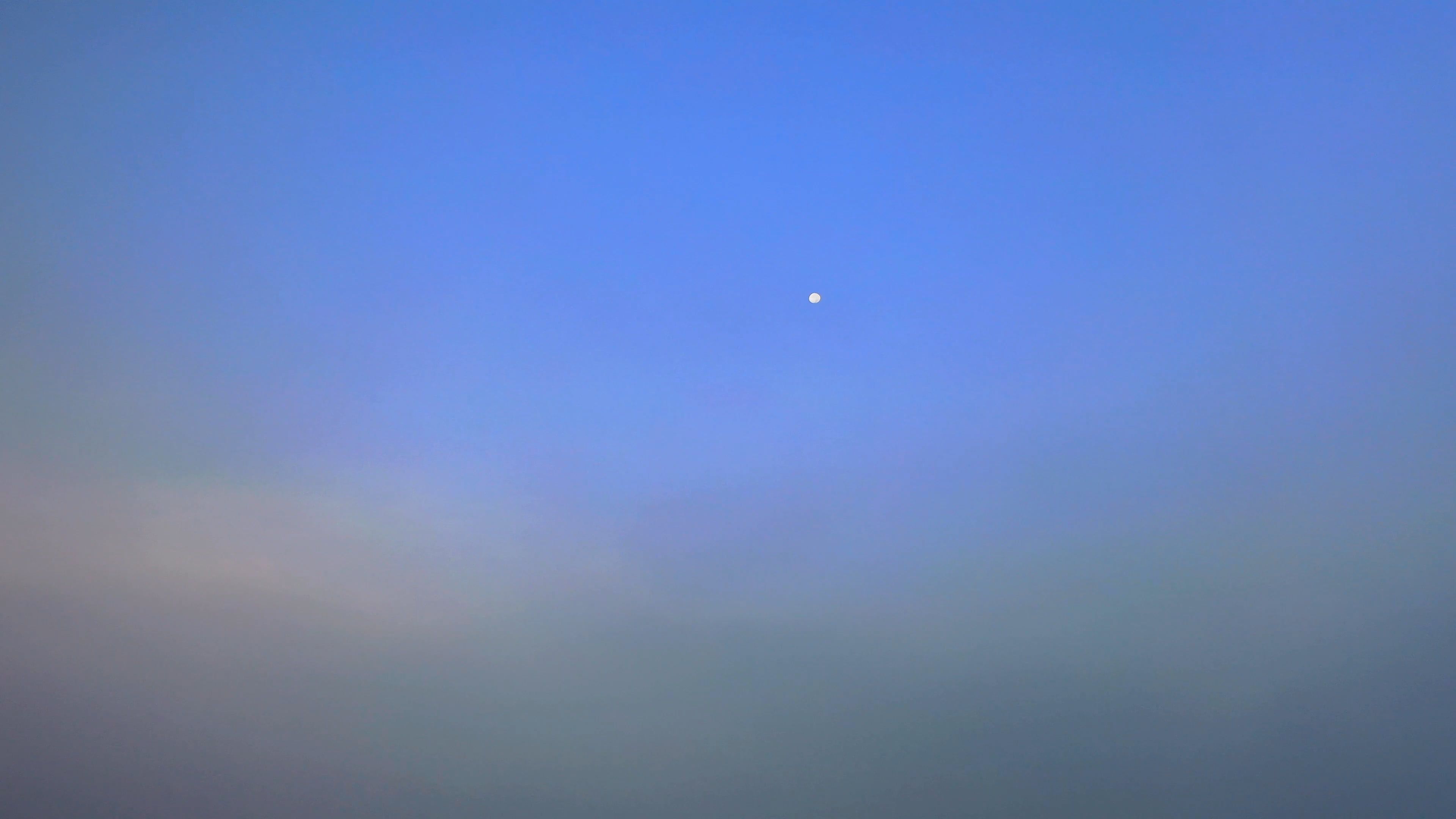 Video by Tom Fisk
