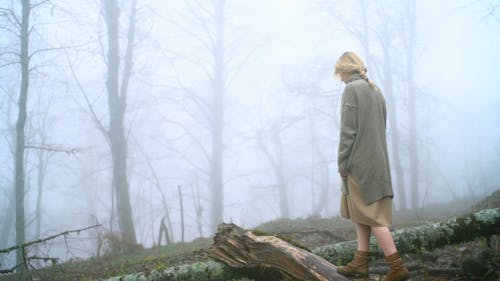 Woman Walking on The Log