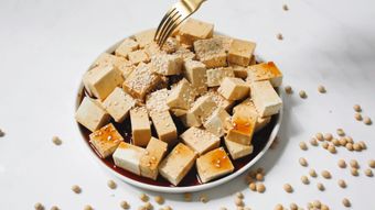 豆腐视频素材