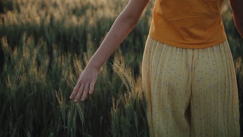 Person Walking on the Field