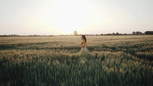 A Young Woman Running In The Wheat Fields