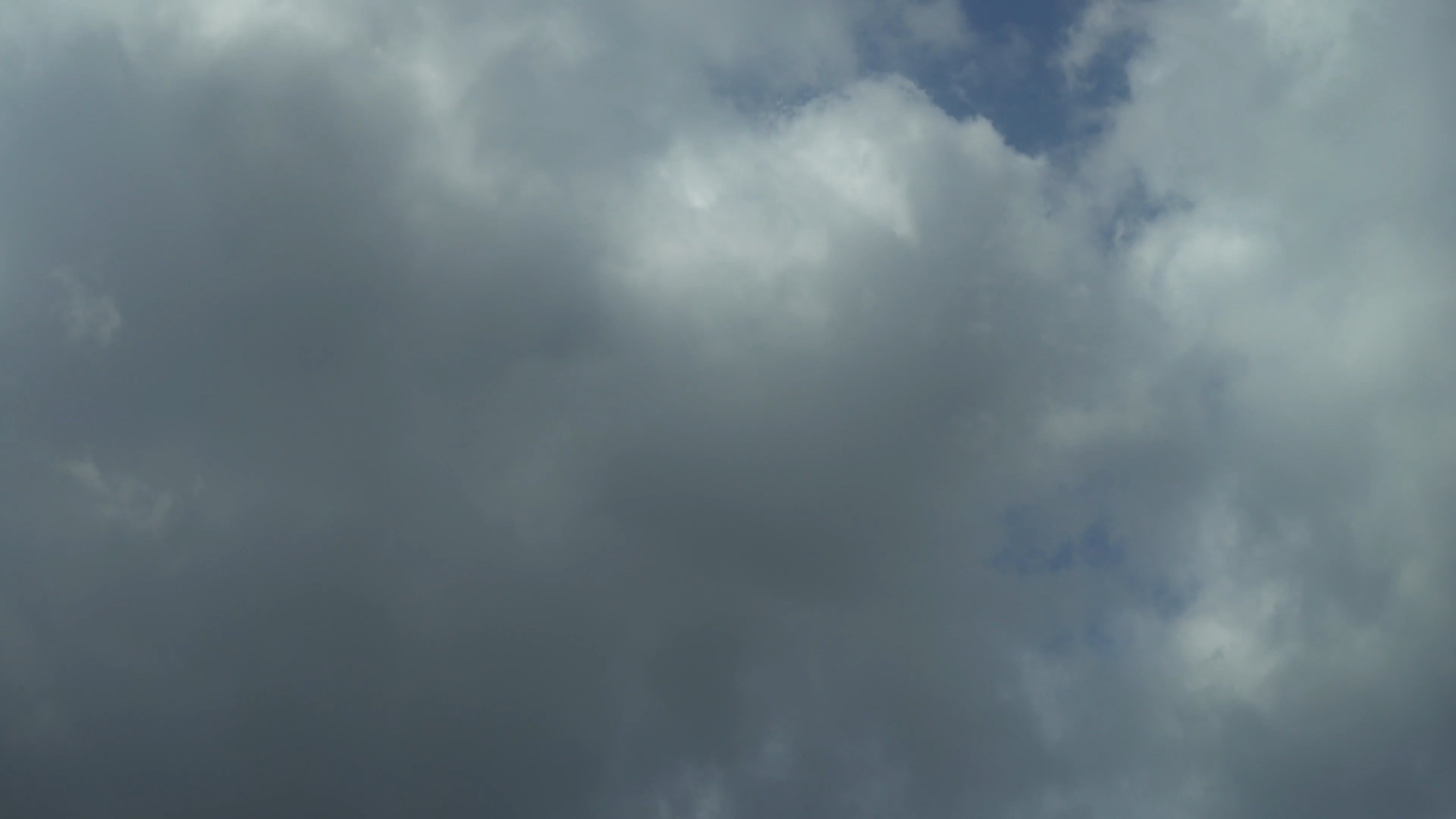 Video by ArtHouse Studio