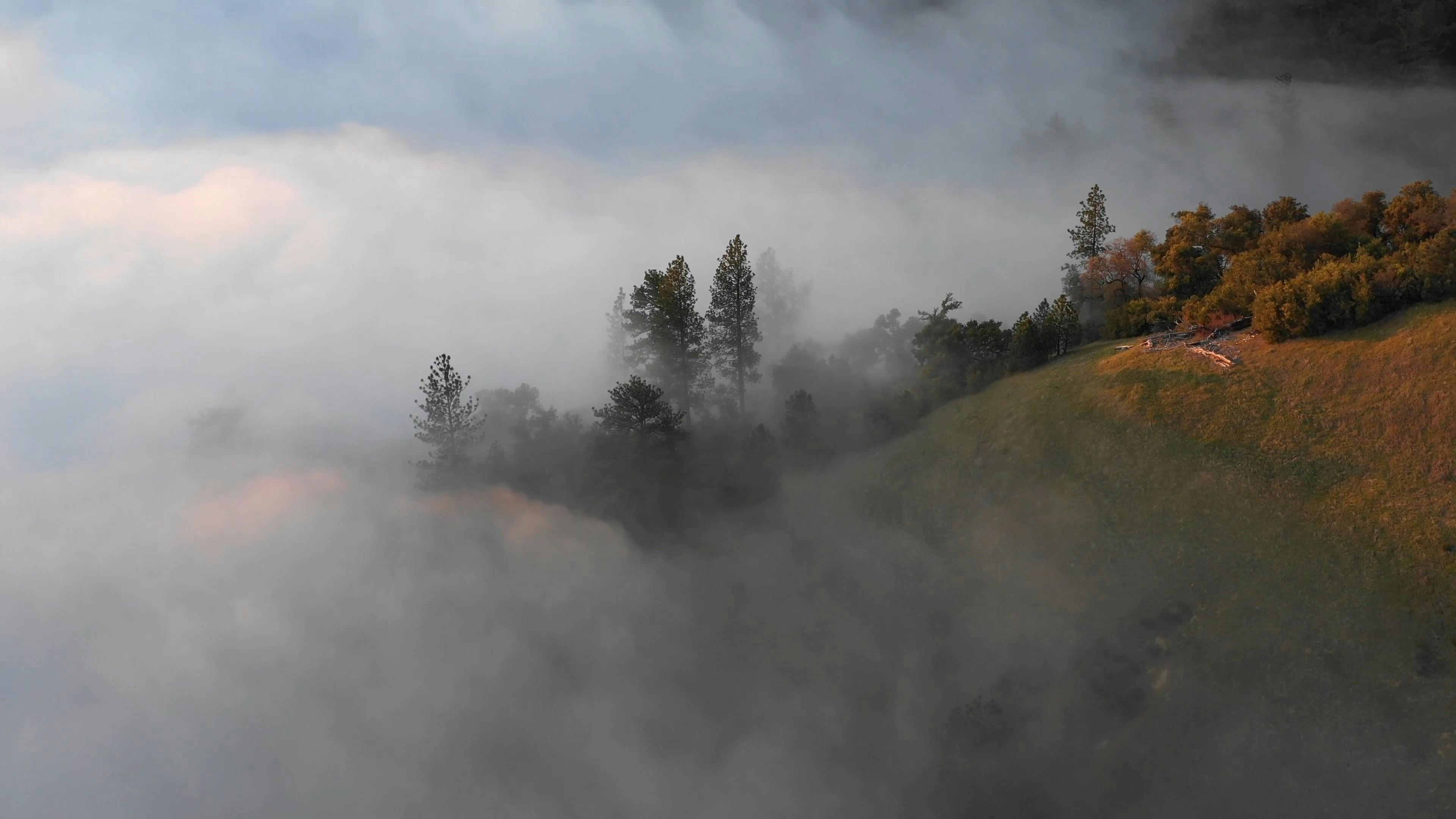 Video by ArtHouse Studio