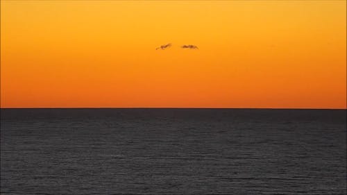 Orange Sky During Sunset