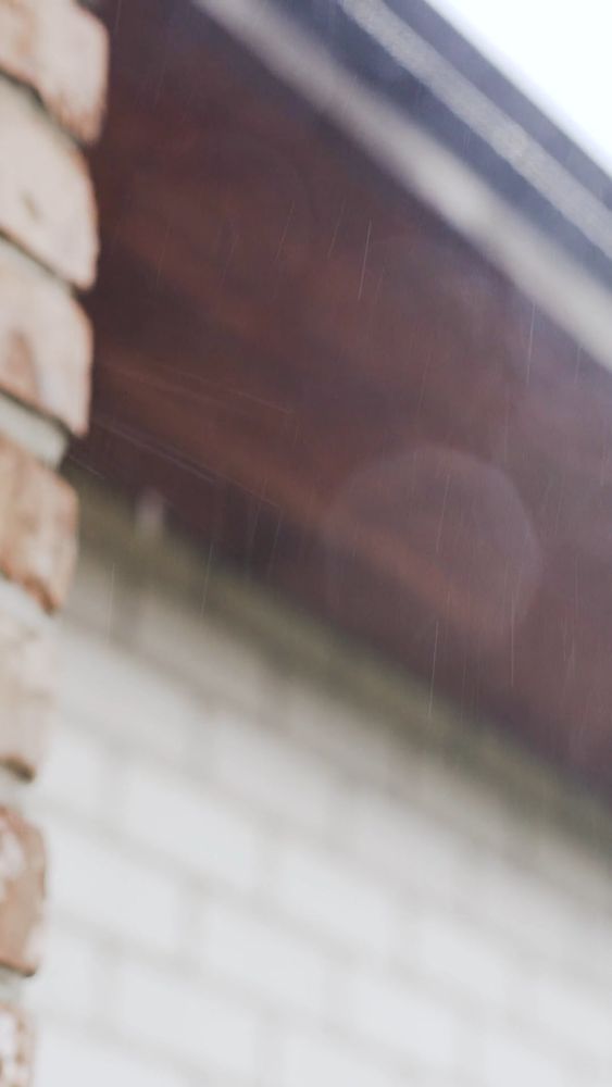 Video Videos, Download The BEST Free 4k Stock Video Footage & Video HD Video Clips->