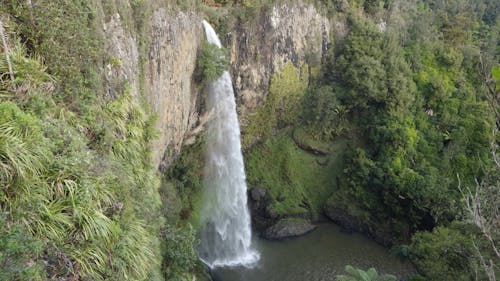 Waterfalls View