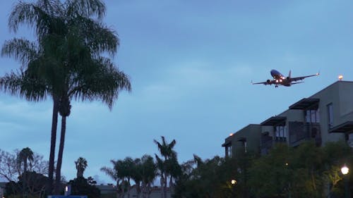 An Airplane Flying Near the Green Trees