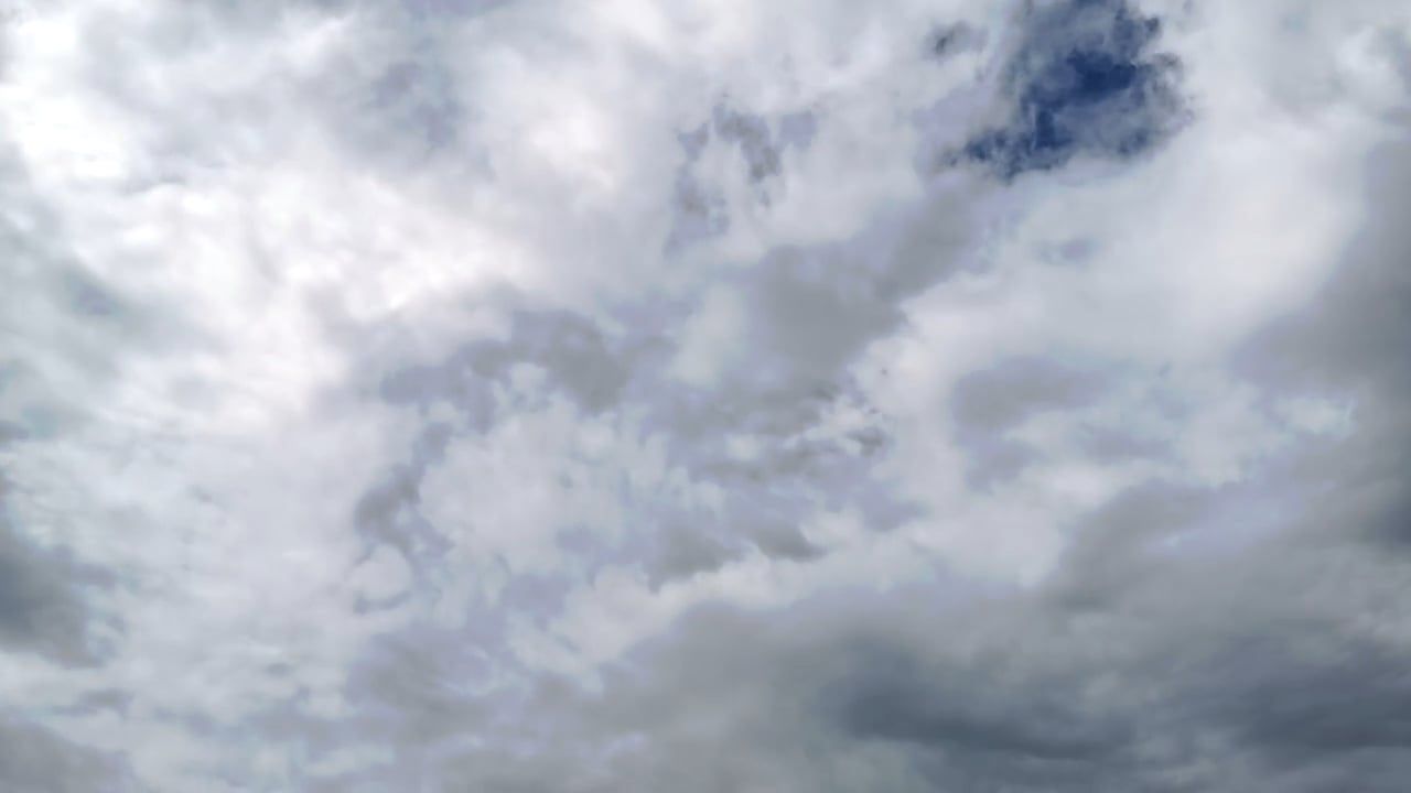 Video by George Morina