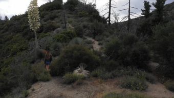 美女登山视频素材