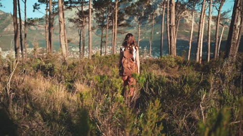 A Woman Walking on the Mountain