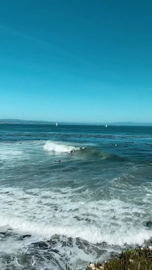 Surfers in the Ocean