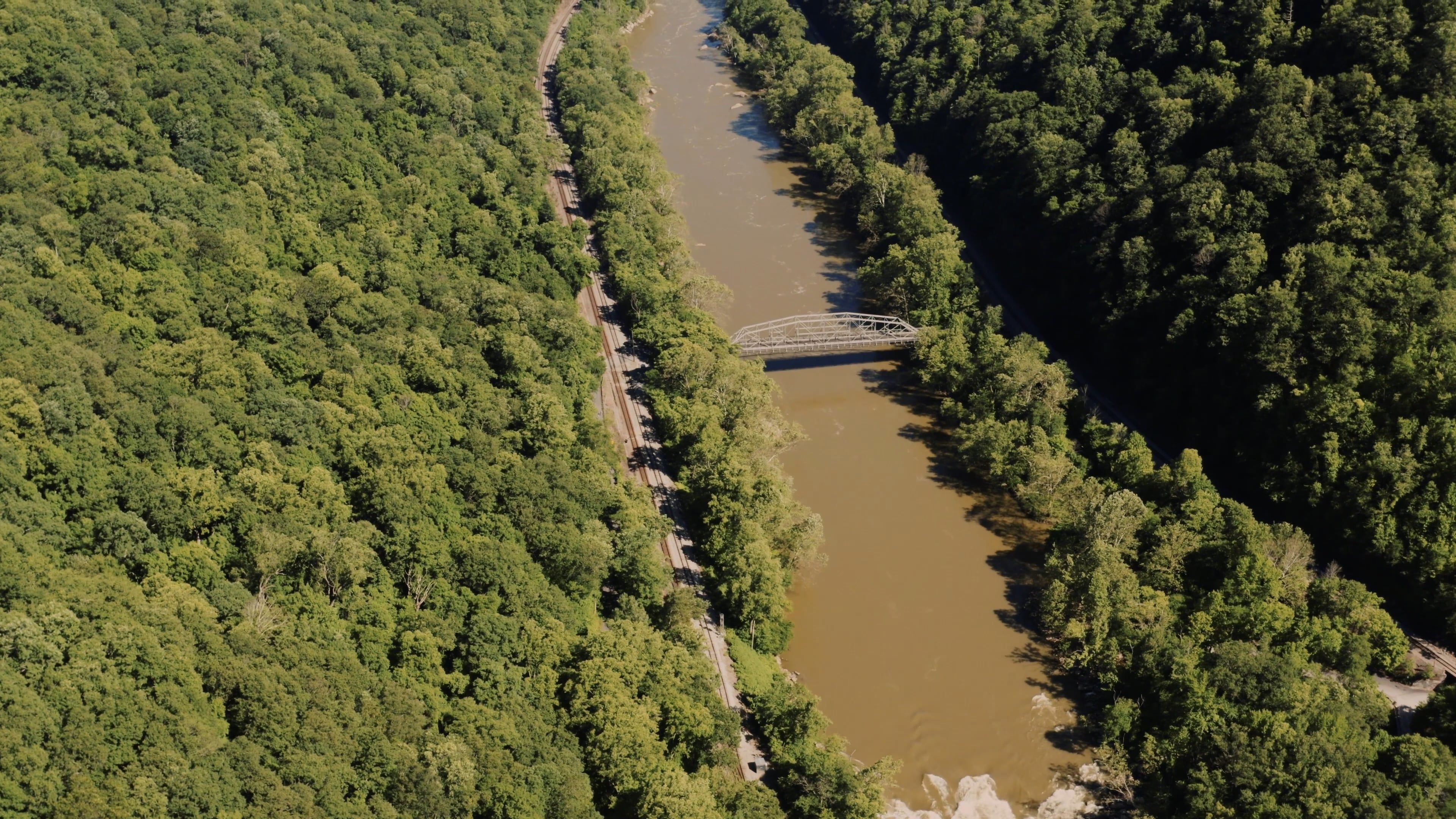 Drone Footage of a River and Trees · Free Stock Video