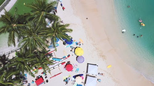 Bird's Eye View Of People On The Beach Near The Shore