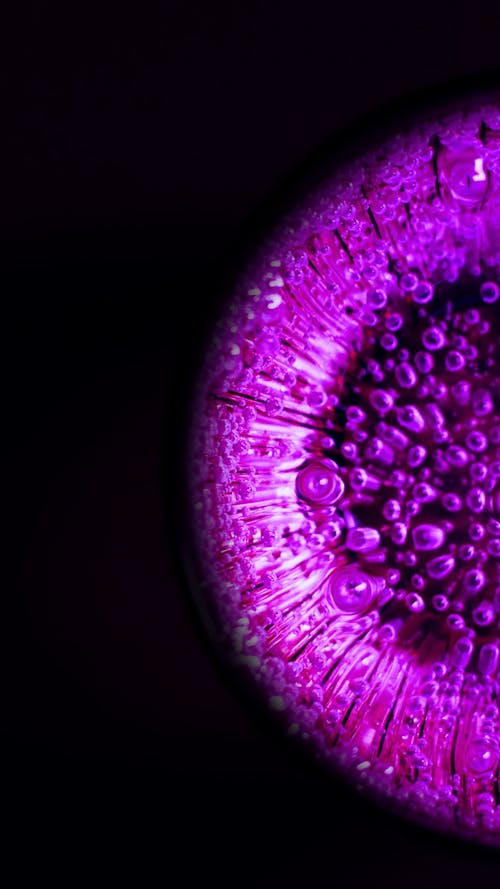 Close up of Fizzy Liquid in Purple Light