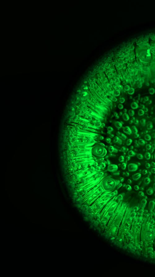 Close up of Fizzy Liquid in Green Light