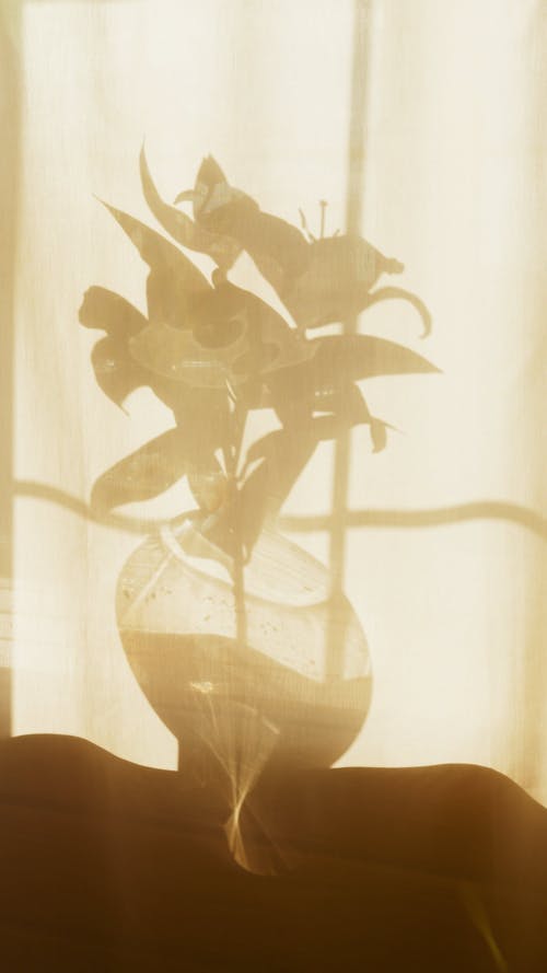 A Curtain with a Flower Vase Shadow Art