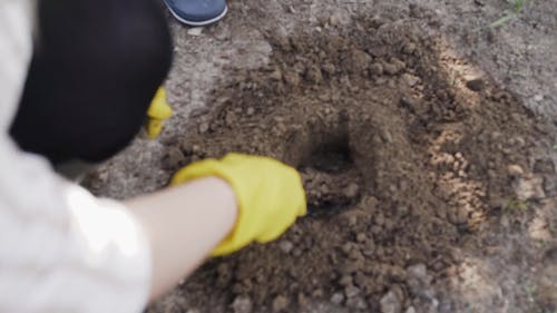 Video Of Person Digging Soil 