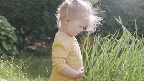 Video Of Child Looking Unto The Grass