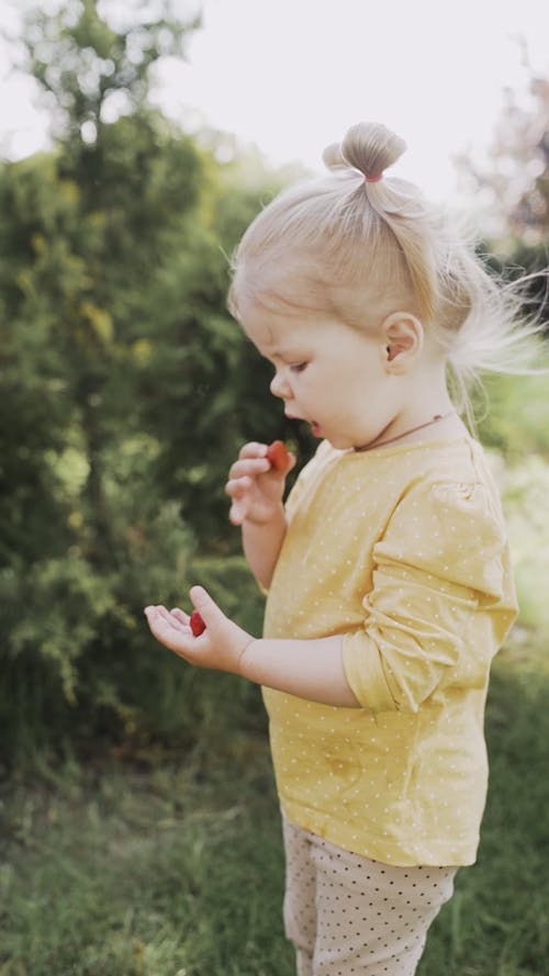 Video Of Child Eating Strawberry