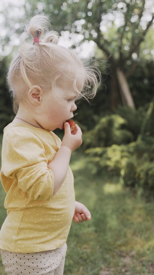 Video Of Child Eating Strawberry