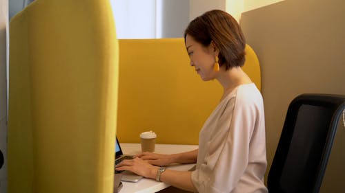 Woman Using A Computer Laptop In Office