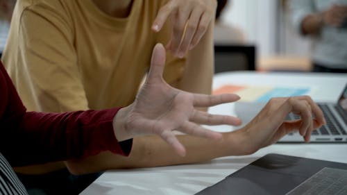 Woman Using A Computer Laptop While Talking To Her Colleague