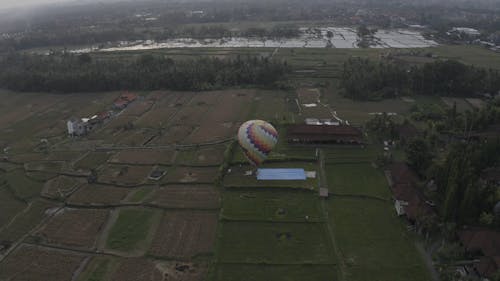 Hot Air Balloon In A Farmland