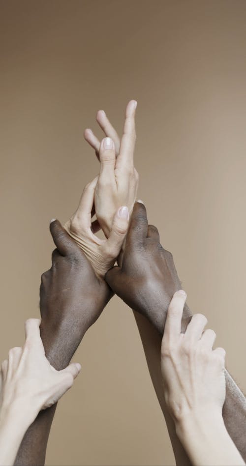 Close up of woman hands. Girl in black b, Stock Video