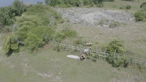 Video Of People Carrying Surfboard