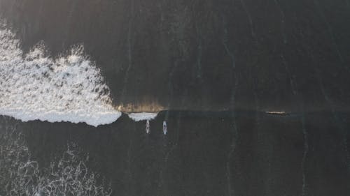 Video Of People Riding Surfboard