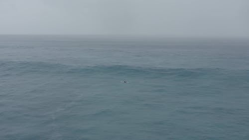 Video Of Person Riding Surfboard