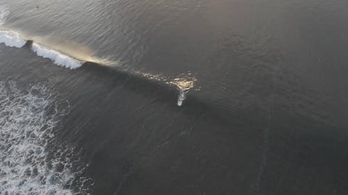 Video Of Man Riding Surfboard