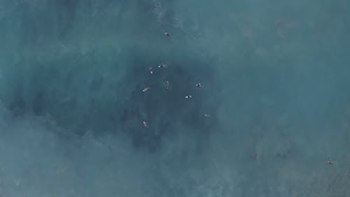 Bird's Eye View Of People Riding Surfboard