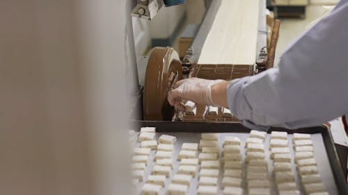 Footage Of Processing Chocolate Candies