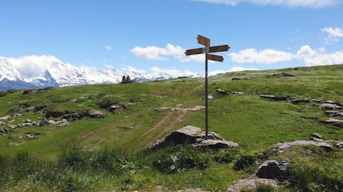 A Scenic View of the Swiss Alps