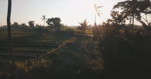 Drone View Of An Agricultural Land